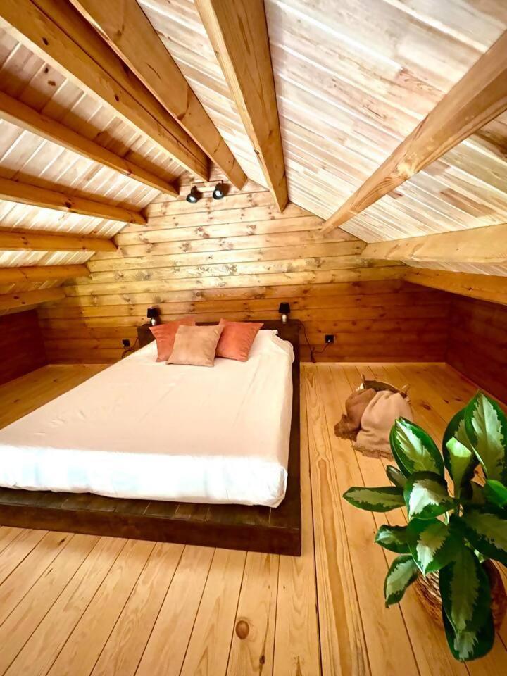 Mountain Eco Shelter 3 Hotel Corujeira de Dentro Luaran gambar